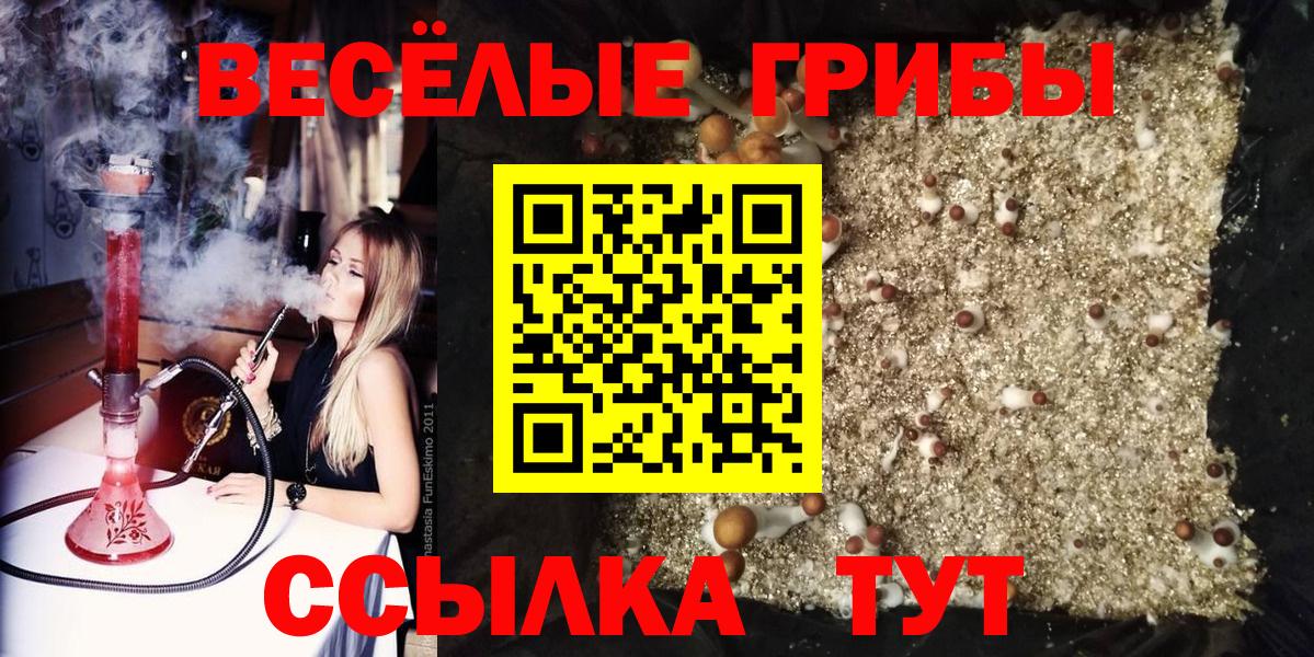 Псилоцибиновые грибы Cubensis Южно-Сахалинск