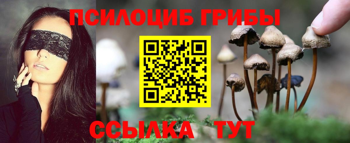 Южно-Сахалинск  Псилоцибиновые грибы Cubensis  Вход с VPN 